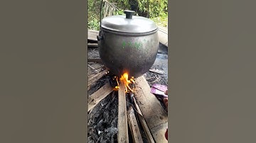 tutorial masak di saung sawah #food #sawah #suasanakampungyangsederhana #nasiliwetenak
