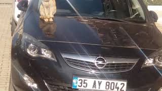 Yeni arabama çok bağlıyım