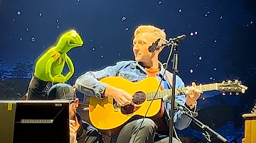 Lady May w/ Kermit the Frog - Tyler Childers 5/28/2024 Madison Square Garden, New York, NY