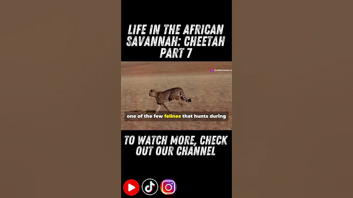 Video 7350171: african savannah, cats catlover cute