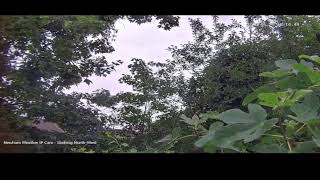 Newham Weather IP Cam