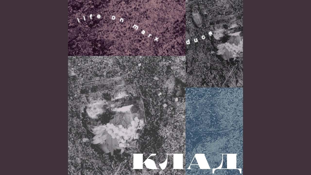 Клёны быстрые