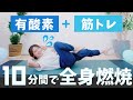 【滝汗10分】とばない全身ワークアウト（有酸素・腹筋・脚・腕・背中・お尻）