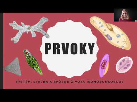 Video: Praktický Sprievodca Sekvencovaním Jednobunkových RNA Pre Biomedicínsky Výskum A Klinické Aplikácie