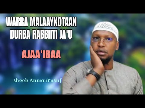 Sheek AnwarYusuf Warra Malaaykaan Durba Rabbit JA U 13 September 2025