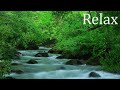 Relaxing Music to Meditate With Nature Sounds - Calm the Mind and Sleep Well - Calmness