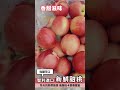 【天天果園】智利進口甜桃15斤(約60-70入) product youtube thumbnail