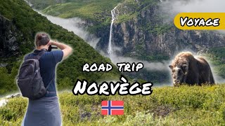 Un Mois Pour Faire Le Tour Des Fjords Norvégiens Road Trip