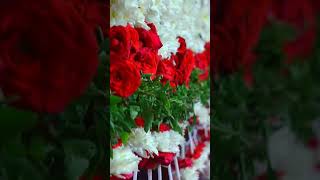 Most Beautiful Rose Flowers Statues