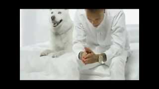 For The Road Tyga Feat. Chris Brown