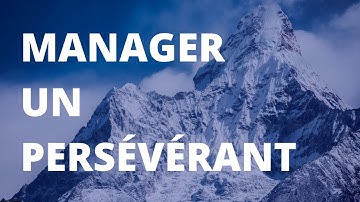 Comment gérer un profil persévérant ? #Processcom : petit chef et têtu sous stress #management