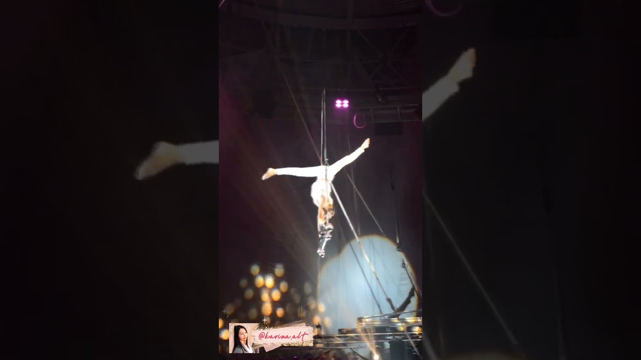 Цирковое шоу Олег Спигин штейн-трапп