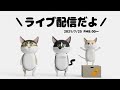 【白猫Live】登録5万人記念ライブ！お風呂もあるよ（2021/7/25）