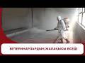 Ветеринарлардың жалақысы өседі