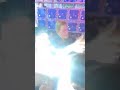 حمو بيكا احمد موزه ابو ليله الاعلامي محمد الدو محمود الليثي