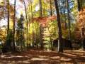 Durant Nature Park, Raleigh, NC Fall Scenes by Jerry Kowalsky