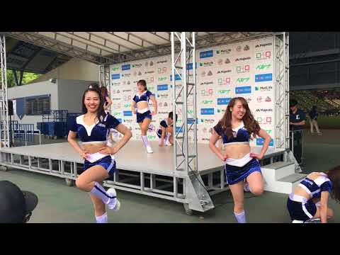 2018.5.26(土)西武ライオンズ bluelegends6