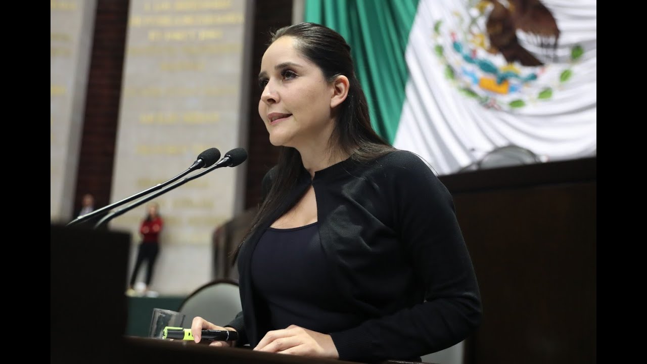 Dip. Leticia Gómez (PVEM) - Refirió sobre los programa de bienestar en zonas de marginación pv email
