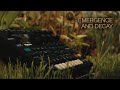 Emergence and decay  elektron digitone  ambient