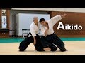 Aikido demonstration 2019  shirakawa katsutoshi shihan