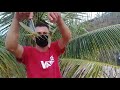 VÍDEO: Gafanhotos no Sertão da PB preocupa moradores