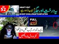 Woh Kya tha kala saaya ghost challenge completed at night - Aahat Horror Show full episode 52