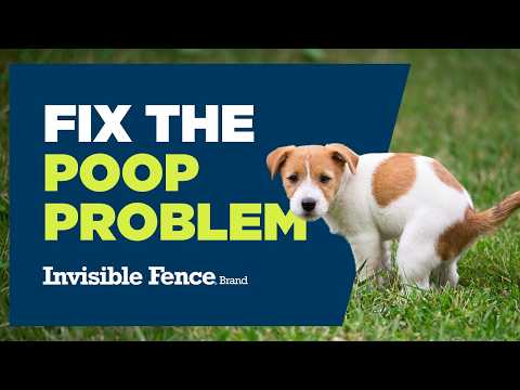 How to Control Where Your Pet Poops in Your Yard