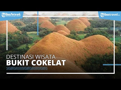 Video: Panduan Lengkap Bukit Cokelat Filipina