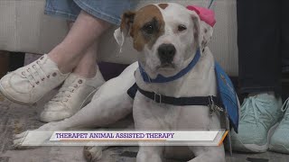Therapet Animal Assisted Therapy shares about their upcoming events