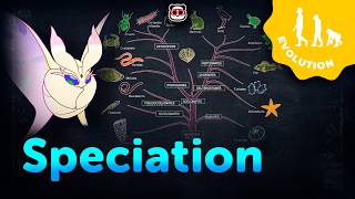 Speciation
