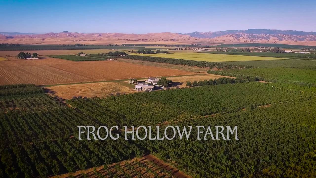 Organic Fuji Apples – Frog Hollow Farm