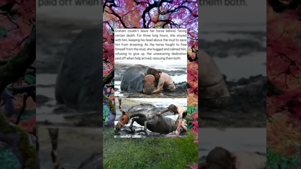 unwavering dedication