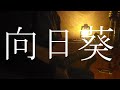 向日葵/太陽族【acoustic cover】
