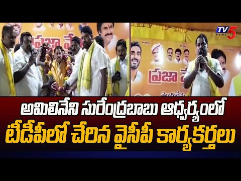 ప్రచార జోరు : Kalyanadurgam MLA Candidate Surendrababu Election Campaign || TV5 News - TV5NEWS