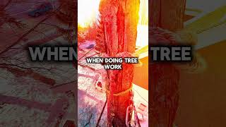 You think that… #treeclimbing #treeservice #treework