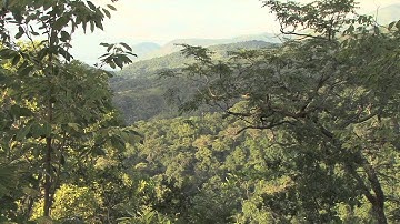 Community Mapping - Alice Macharia