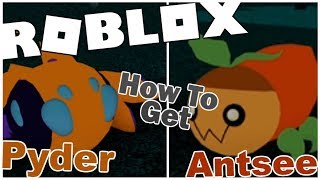 How to get PYDER and ANTSEE in LOOMIAN LEGACY! [ROBLOX]