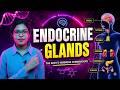 Introduction to Endocrine Glands | basic concept | class 11th biology