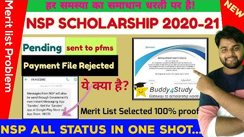 NSP All Doubt Clear in 1 video| Pending|Revalidation with State nodal officer|Payment not initiated