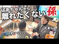【祖母と孫】60代ばあちゃんに久しぶりの再会！！1歳児のリアクションが可愛すぎるのでお裾分けします【車椅子パパの日常】