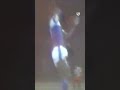 🗓️ في مثل هذا اليوم قبل 40 عامًا، تُوّج الهلال بكأس الاتحاد السعودي، بعد فوزه على "الاتفاق" 💙🏆