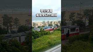 보다스테이 송정점 영상