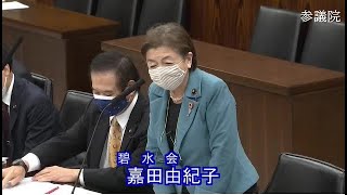 実子誘拐最高裁判例（令和3年4月6日参議院法務委員会）