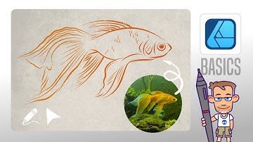 Affinity Designer Tutorial - Manually Tracing with the Pencil Tool