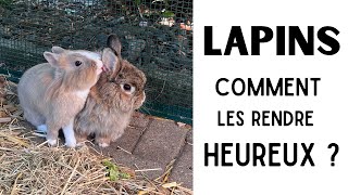 LAPINS : comment les rendre HEUREUX ? détention, nourriture, occupation, etc 🐰🐰🐰