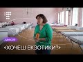 Куди виселяють переселенців зі шкіл.  Будні евакуйованих з Донбасу / hromadske