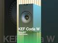 KEF Coda W: Everything You Need To Know! @KEF.Global #kef