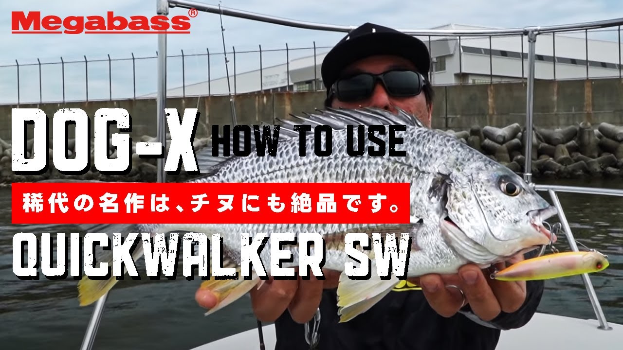 チニングにおけるスピニングタックルの薦め | Megabass-メガバス