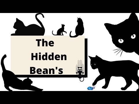 The Hidden Bean S 