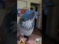 🫶🐦Pretty Bird🐦🫶